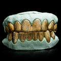 SOLID GOLD DIAMOND DUST GRILLZ TOP 6