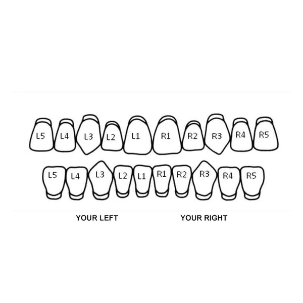 SOLID GOLD SINGLE TOOTH GRILLZ